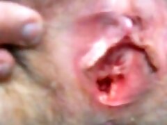 wife spreading wide and getting cock up her ass