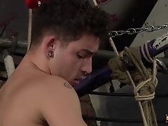 Hanging Like Ripe Fruit - Kamyk Walker & Jack Taylor