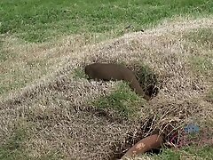 Virtual Vacation In Hawaii With Alexa Grace Part 1