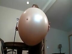 Bambi Blaze Boredom Buster Belly Expansion