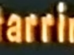 Terri Diver, Brandy Alexander, Tonisha Mills - Bikini City (1991)