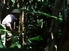 Crystal breeze ron jeremy