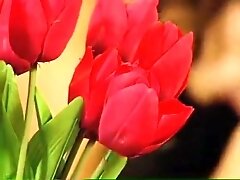 Angelica Bella - Scopata anale