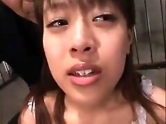 Cute Tied Asian Swallows