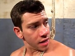 Shemale in fishnets anal bangs slave