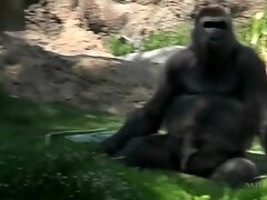 ATKGirlfriends video: Tegan Riley joins you at the