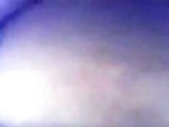 Mexican immature bj and swallows in car