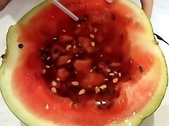 cute bbw, pissing in watermelon. (good clip)