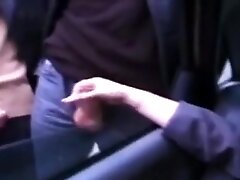 Deux chiennes pour des